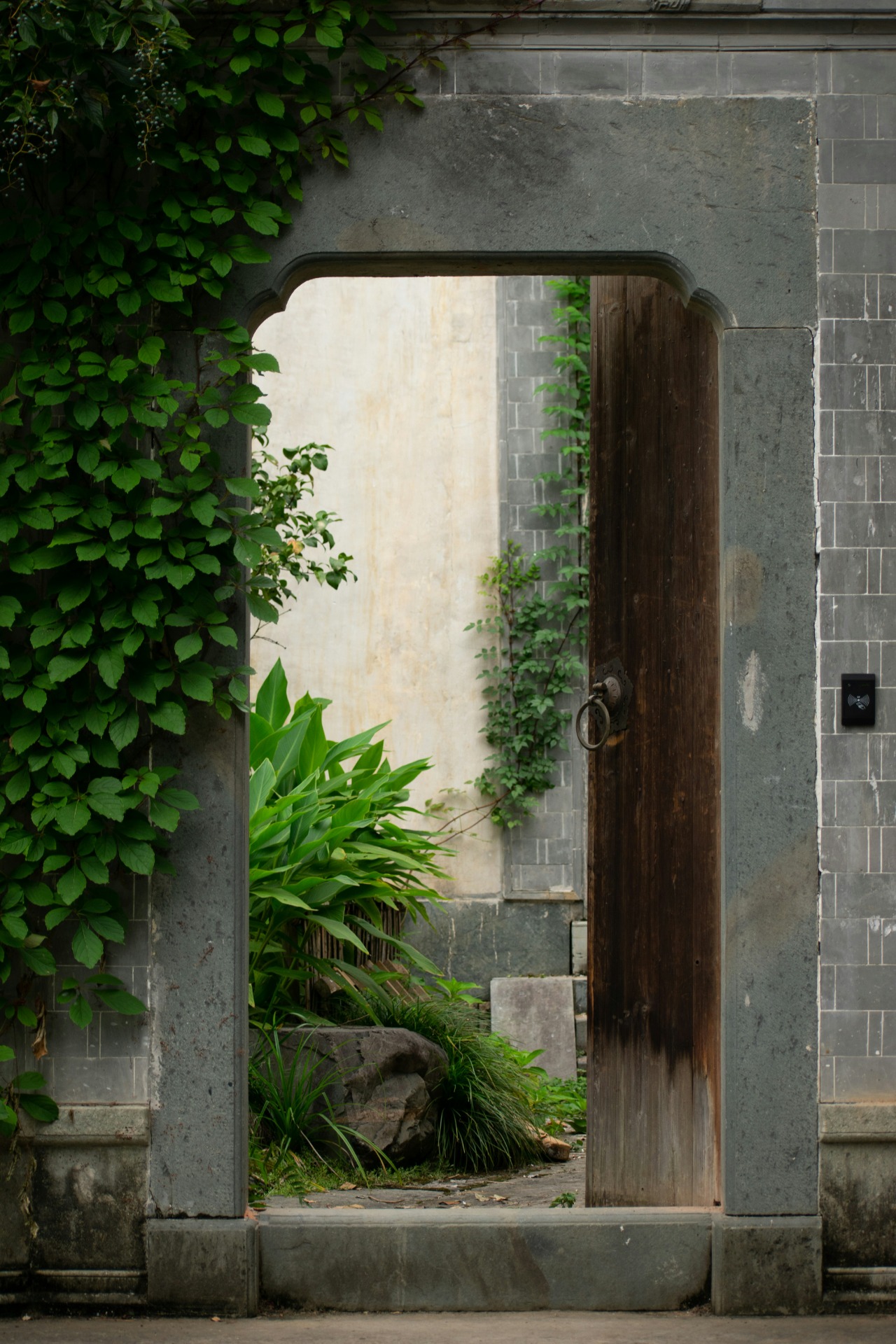 Lin Qiu Yi Wan - Unsplash